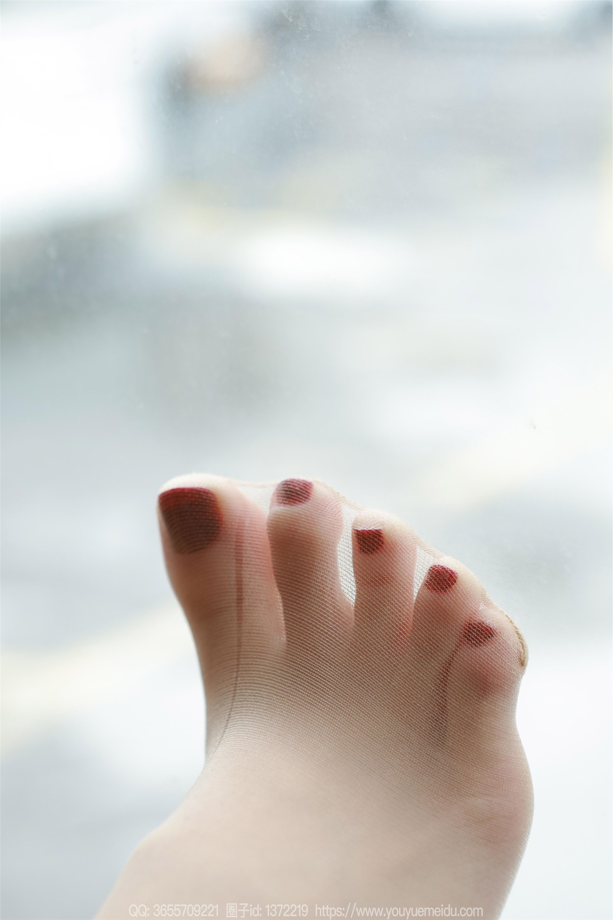 IESS异思趣向  2023.12.17 丝享家 1613 团团《长长的虾线》